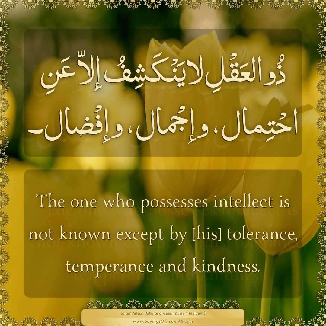 The one who possesses intellect is not known except by [his] tolerance,...